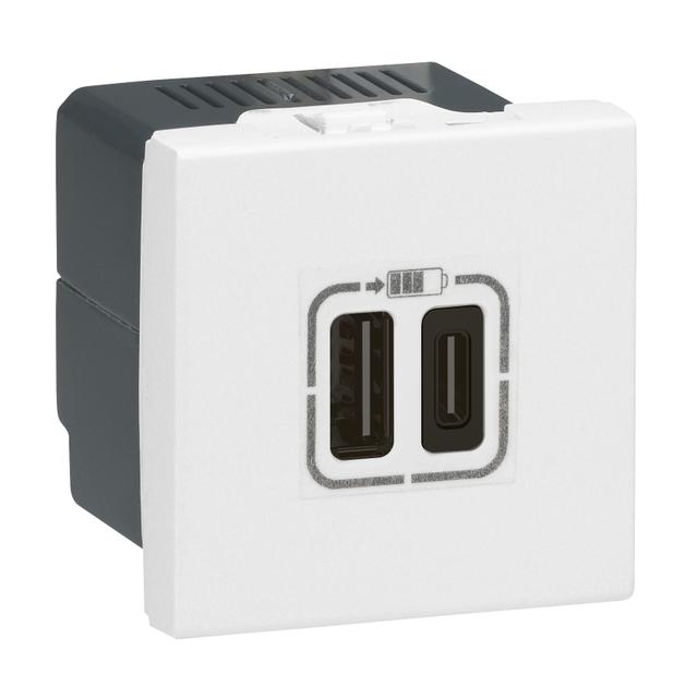 Mosaic - Ładowarka 2Xusb 2400 Ma Typ-A + Typ-C Biały 077592 LEGRAND