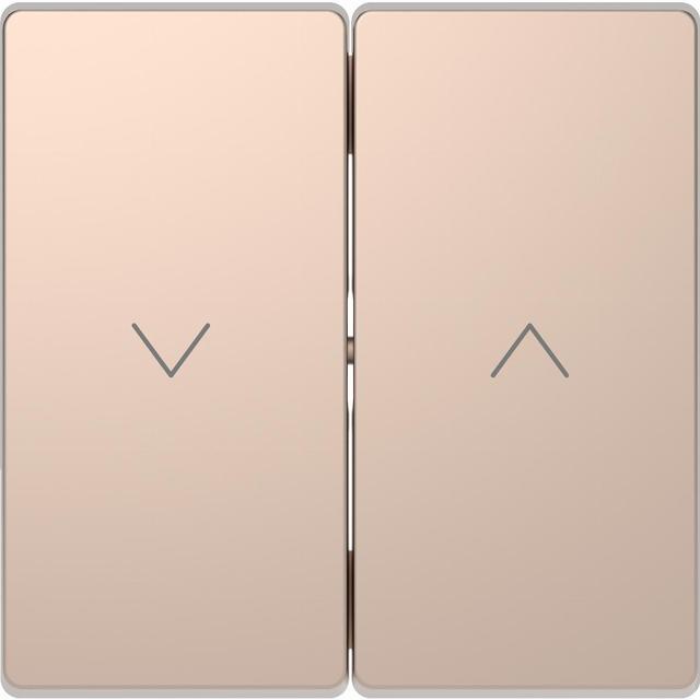 Klawisz podwójny żaluzjowy, szampan meta