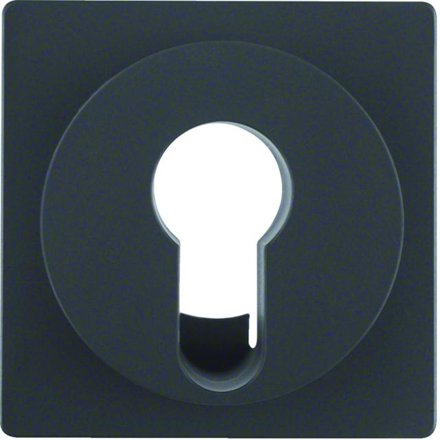 BERKER Q.x Płytka czołowa do łącznika na klucz antracyt aksamit lakierowana 15076086 HAGER