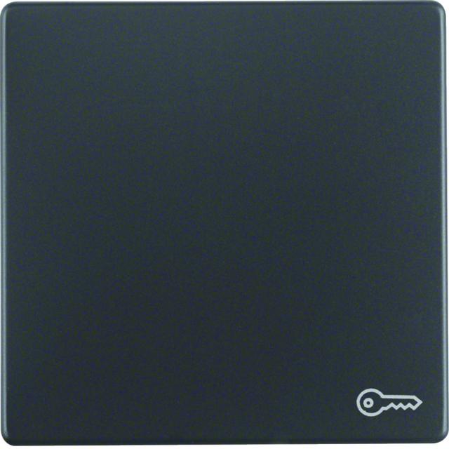 BERKER Q.x Klawisz z nadrukowany symbol klucz do łącznika 1-klawiszowego antracyt aksamit 16206066 H