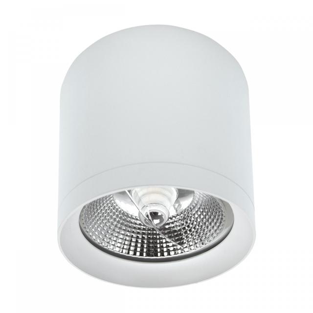 Oprawa punktowa CHLOE AR111 NATYNKOWA GU10 250V IP20 118x110mm BIAŁY okrągła Spectrum LED