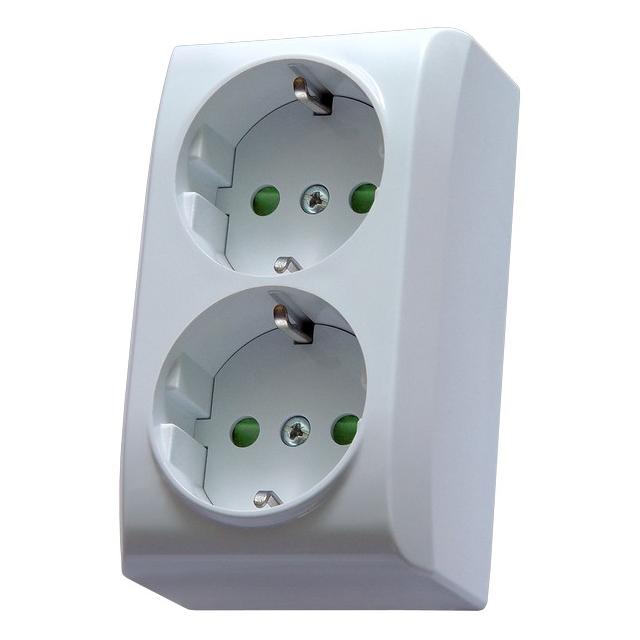BIS Gniazdo podwójne z uziemieniem schuko z przesłonami torów prądowych - kolor biały