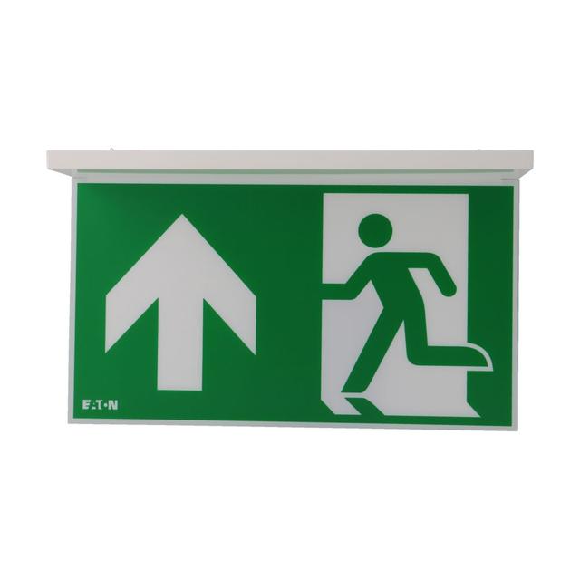 NexiTech LED szyba strzałka do góry / strzałka do góry 30m ISO7010 NEXI-PLEX-UU EATON