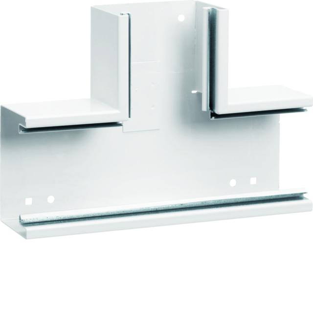 tehalit.BRS Element T 65x100 stal biały BRS6510089016 HAGER