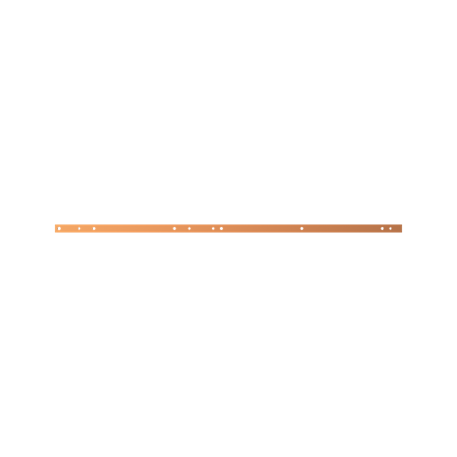 ZX1068 Szyna Cu 30x10mm 5F