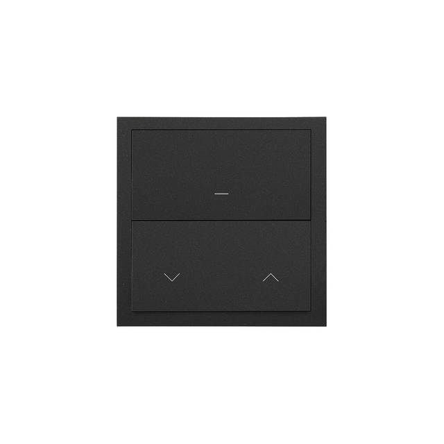 Simon 100 Panel 1-krotny: iO 1 klawisz Master+1 klawisz roletowy Master czarny mat