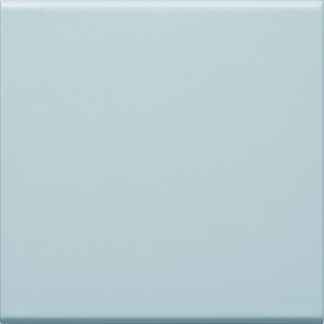 tehalit.WA Klawisz do łącznika 1-klawiszowego PC-ABS bezhalogenowy lakie alu