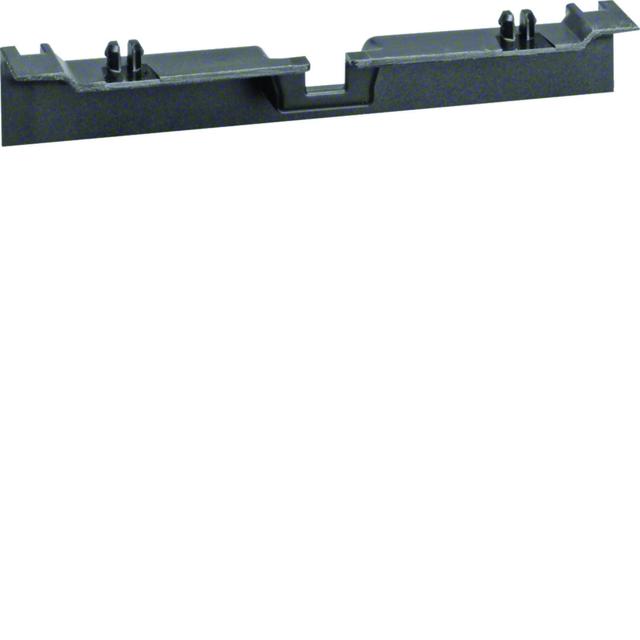 tehalit.SL Maskownica nośnika 20x55 czarny SL20055A9011 HAGER