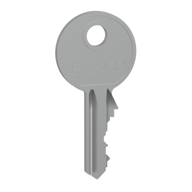 Rozdzielnice PrismaSet, wkładka 2432E