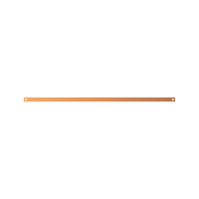 ZX1101 Szyna Cu 30x5mm 4F