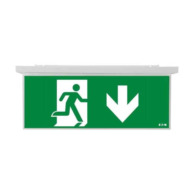 NexiTech LED szyba strzałka w dół / strzałka w dół 20m ISO7010 NEXI-PLEX-20-DD EATON