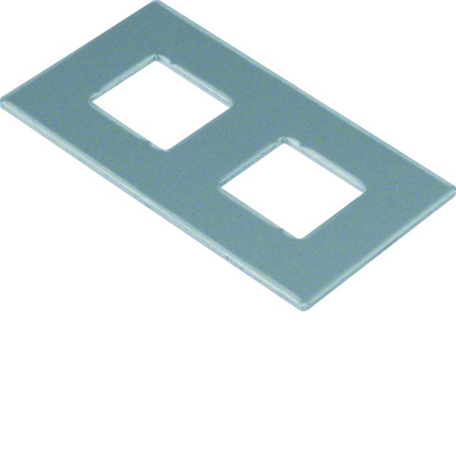 tehalit.GB-EG Płytka montażowa GTVD2/300 2xRJ45 17,2x18,3 aluminium GTVDM042 HAGER