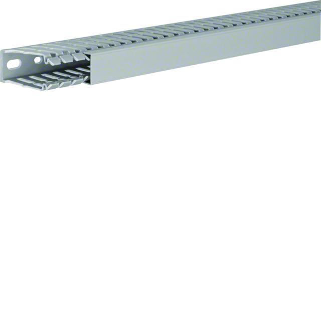 tehalit.BA7 Kanał grzebieniowy 60x25 szary BA760025 HAGER