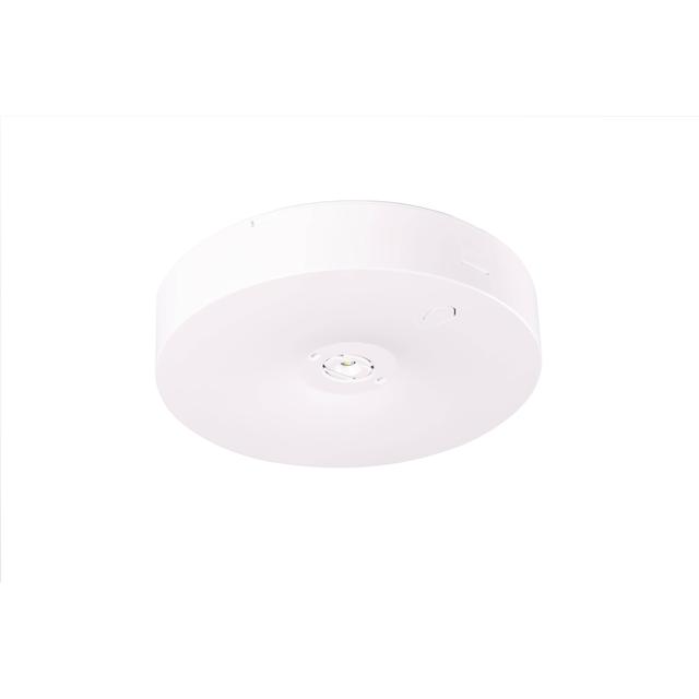 Oprawa sieciowo-awaryjna natynkowa Starlet Round LED SO 250 SA 2H CT IP20 / 230V 91860 INTELIGHT