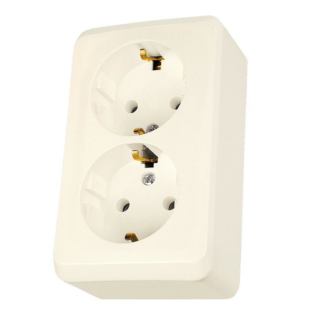 Prima gniazdo podwójne schuko beż WDE001148 Schneider