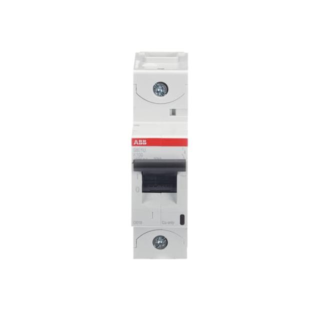 S801U-K100 Wyłącznik nadprądowy 25kA 1P K100A 2CCS881017R0637 ABB
