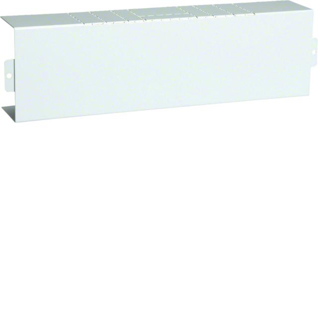 tehalit.LFS Element T, 60x100mm, biały LFS6010089016 HAGER