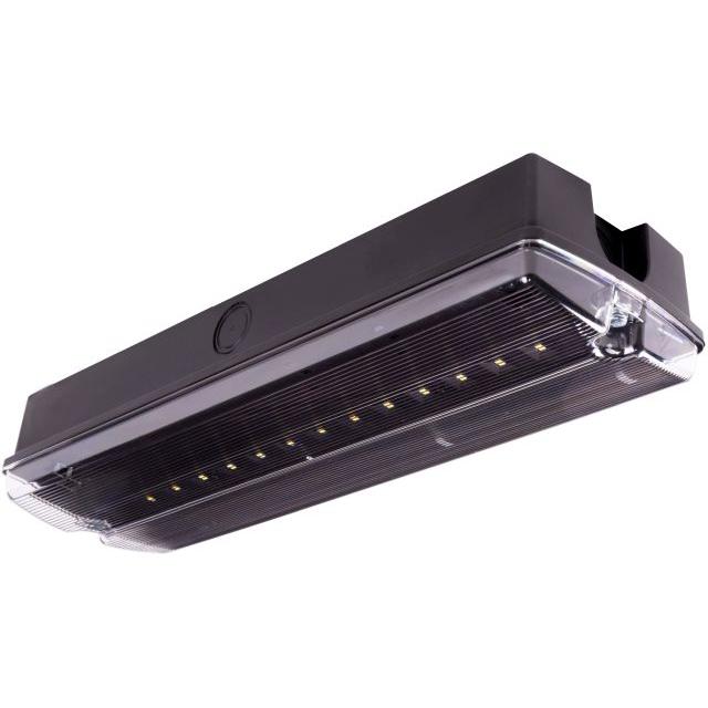Oprawa ewakuacyjna/awaryjna Orion LED II 100 SA 3H CT LT IP65 [BLK] + (OR6, OR7, OR8) / WERSJA LT (U 89415 INTELIGHT