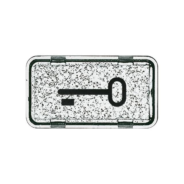 ALLWETTER/OCEAN  Symbol "klucz"  IP 44 neutralny