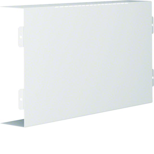tehalit.LFS Element T, 60x200mm, biały LFS6020089016 HAGER