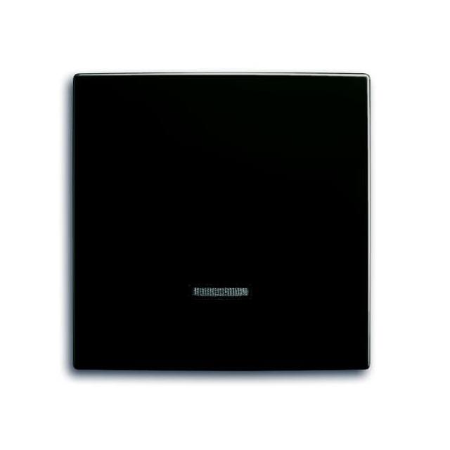 BASIC55 Element obsługi z lampką neonową. czarny-chateau