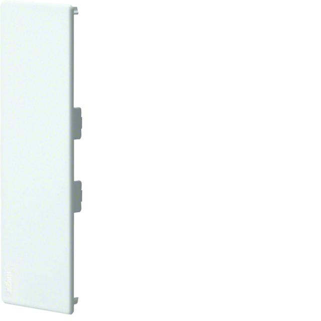 tehalit.BRAP Maskownica przebicia 65x170 stal aluminium BRAP65170WLAN HAGER