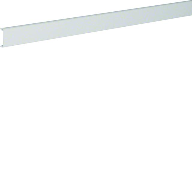 tehalit.HNG Pokrywa kanału szerokość 25mm PC-ABS jasnoszary HNG0252 HAGER