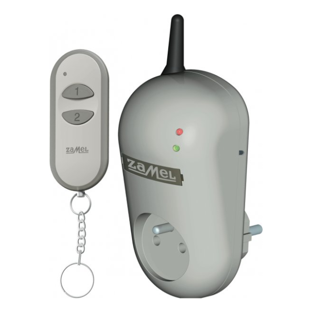 GNIAZDO ZDALNIE STEROWANE Z PILOTEM (RWG-01+P-257/2)  TYP: RWG-01K