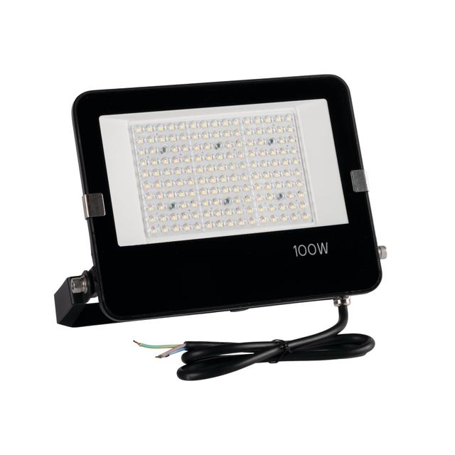 FL AGOR/A PRO 100W NW