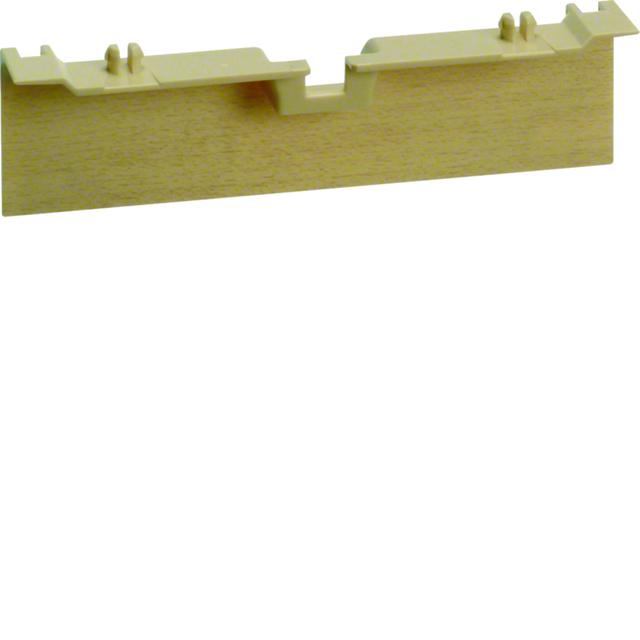 tehalit.SL Maskownica nośnika 20x80 klon SL20080AD3 HAGER