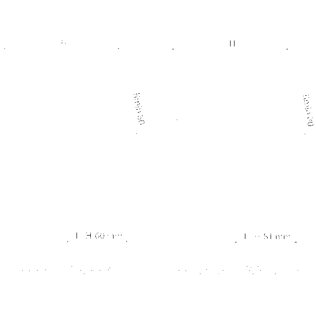 RSI160-1919/R05 OŚ NAPĘDU L=300
