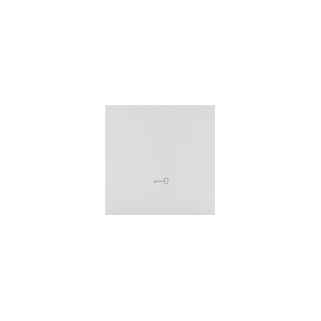 Simon 55 Klawisz pojedynczy z piktogramem /klucz/ do łączników/przycisków Jasnoszary mat