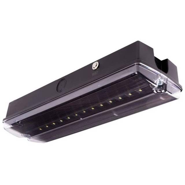 Oprawa ewakuacyjna/awaryjna ORION LED II 150 SA 3H MT LT IP65 [BLK] / WERSJA LT (UKŁAD GRZEJNY Z TER 89700 INTELIGHT