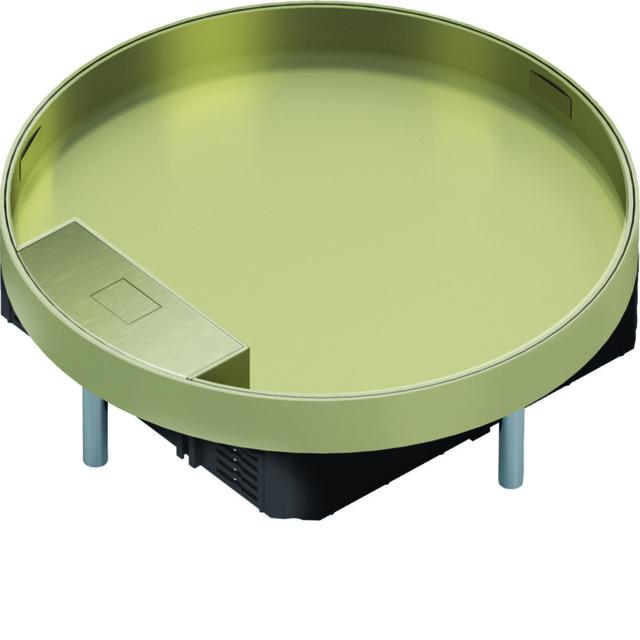 tehalit.VE-EE Pokrywa uchylna IP30 5kN MKR12 fi306 25mm mosiądz MKR120LE25 HAGER