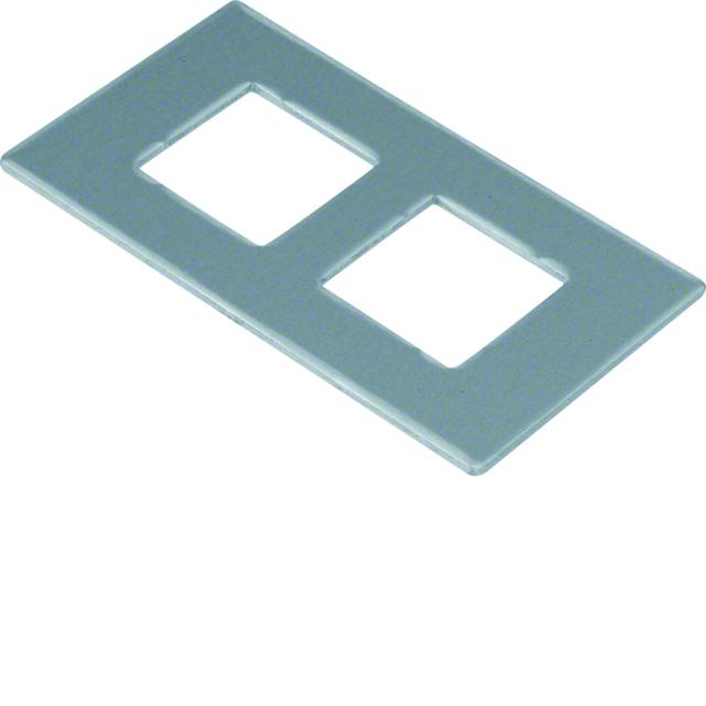tehalit.GB-EG Płytka montażowa GTVD2/300 2xRJ45 20,1x19,5 aluminium GTVDM082 HAGER