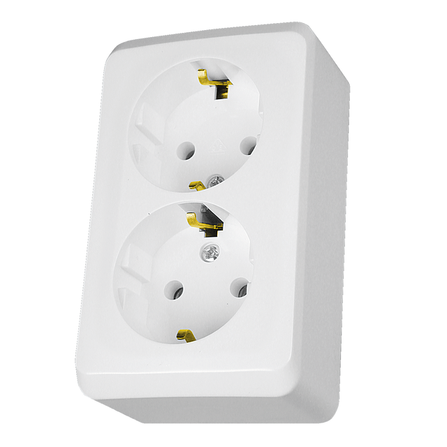 Prima gniazdo podwójne schuko biały WDE001048 Schneider