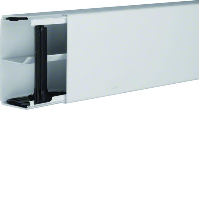 tehalit.LF Kanał elektroinstalacyjny PVC 60x110mm z przegrodą, jasnoszary LF6011107035 HAGER