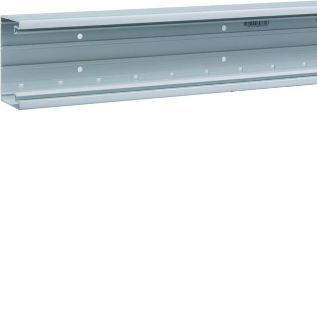 tehalit.BRP Kanał PVC podstawa 65x100 jasnoszary BRP6510017035 HAGER