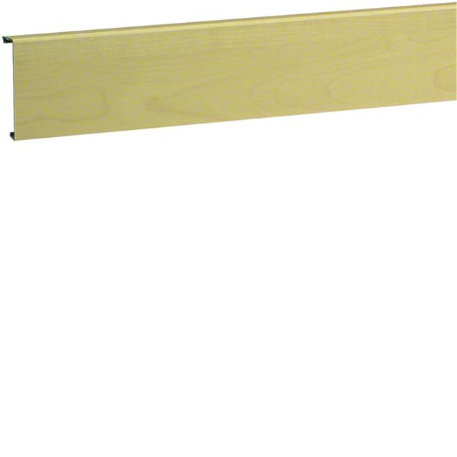 tehalit.SL Pokrywa 20x80 klon SL200802D3 HAGER