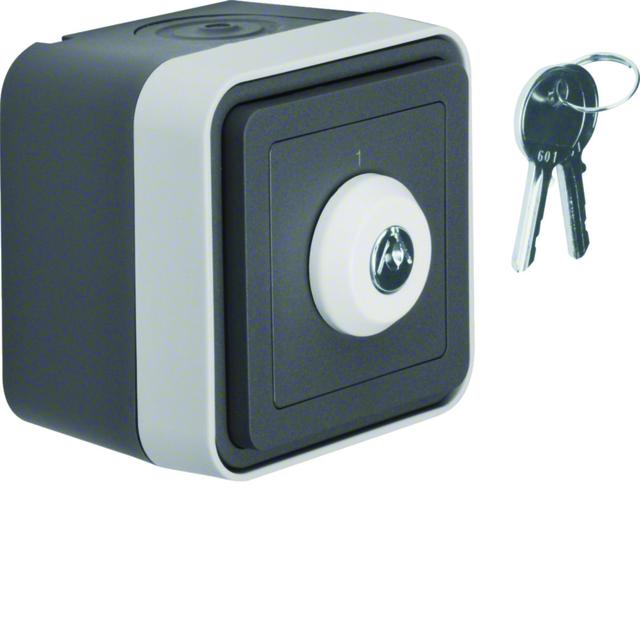 BERKER W.1 Łącznik na klucz z zamkiem klucz w 2 pozycjach kompletny IP55 szary 32713505 HAGER