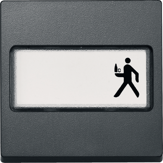 Merten, System M, klawisz pojedynczy z polem opisowym, antracytowy