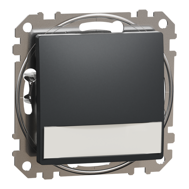 Sedna Design & Elements, przycisk z etykietą i podświetleniem (12V Ac), czarny antracyt