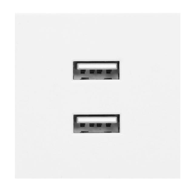 NOEN USB x 2 podwójny port modułowy 45x45mm z ładowarką USB 2,1A 5V DC biały OR-GM-9010/W/USBX2 ORNO