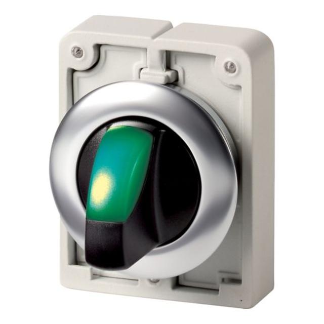 M30I-FWRLK-G Przełącznik piórkowy podświetlany 30mm zielony 2-pozycyjny bez samopowrotu stal nierdze