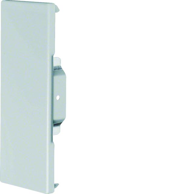 tehalit.BRS Końcówka 65x170 ocynkowana BRS651706VERZ HAGER