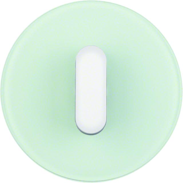 R.classic Płytka czołowa z pokrętłem do łącznika obrotowego, szkło, biały