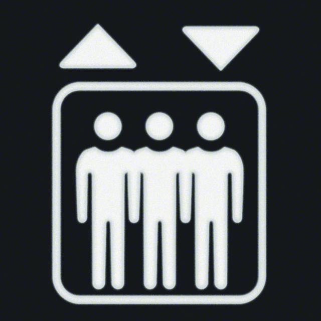 BERKER W.1 Folia do sygnalizatora świetlnego symbol winda 19058005 HAGER