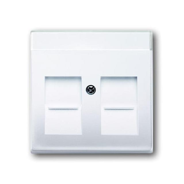 BASIC55 Pokrywa z polem opisowym Do 2 złączy Modular Jack z przysłonami biały alpejski