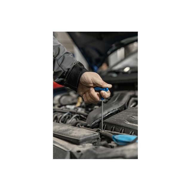 Klucz trzpieniowy torx security typu-T długi TT25 HOEGERT HT1W872 GTV Poland