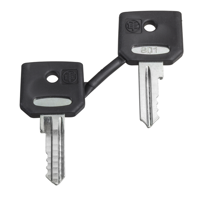 Harmony XB4 Zestaw 2 kluczy 421E ZBG421E Schneider